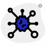 coronavirus coronavirus